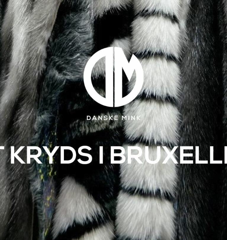 Ét kryds i Bruxelles kan lukke dansk minkavl